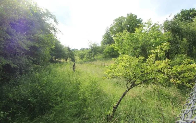Ehemaliger Aussiedlerhof in Donzdorf — Bild 2