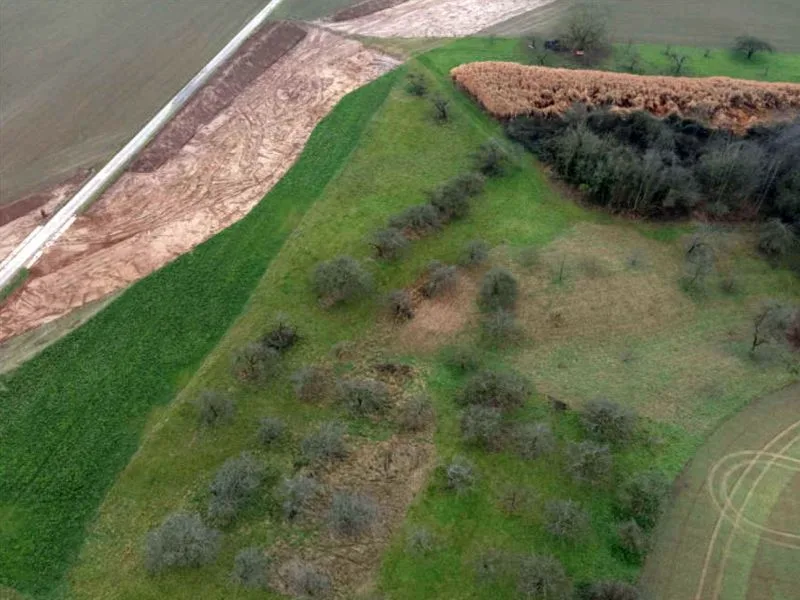 Landwirtschaftsfläche in Meckesheim