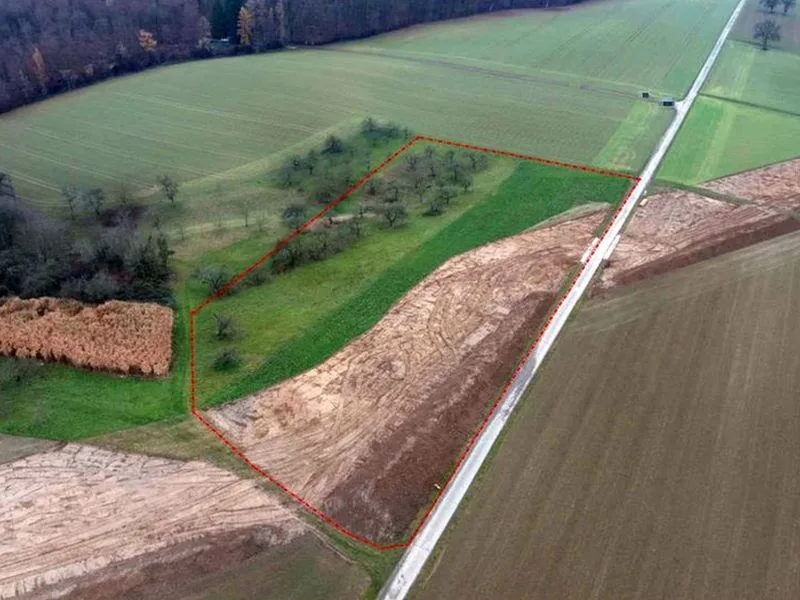 Landwirtschaftsfläche in Meckesheim — Bild 2
