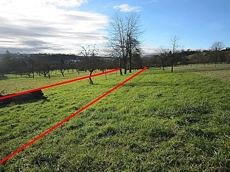 Freizeitgrundstück mit Geschirrhäuschen und Baumwiese in Nürtingen — Bild 2