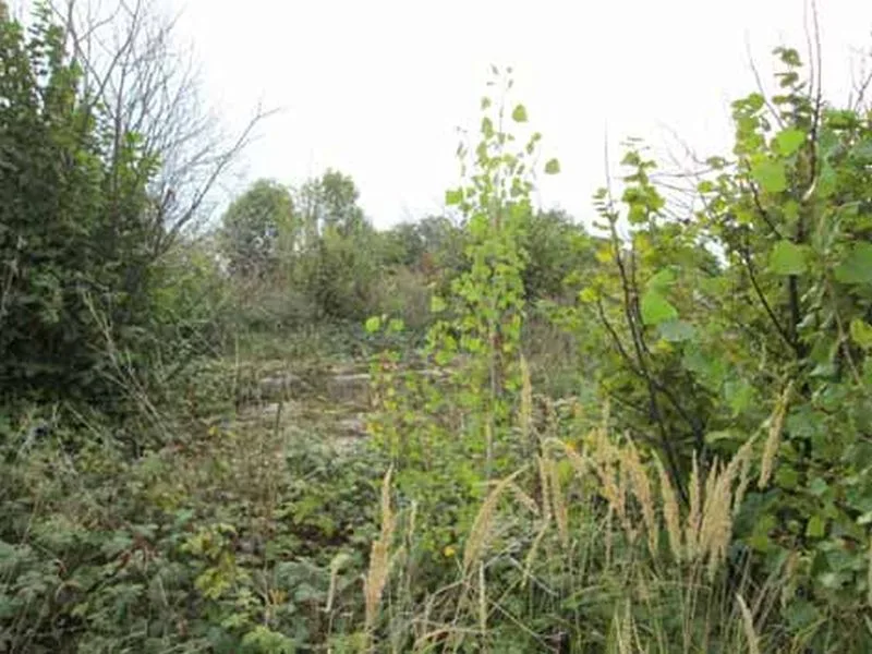 Unbebautes Grundstück in Lützen OT Bothfeld — Bild 2