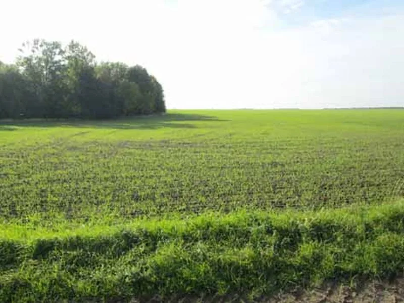Ehemalige Ziegelei und Acker-/Grünflächen in Lützen — Bild 3