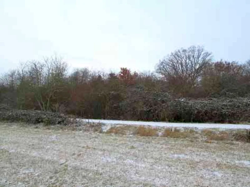 Unbebautes Grundstück in Weißenfels OT Wengelsdorf — Bild 2