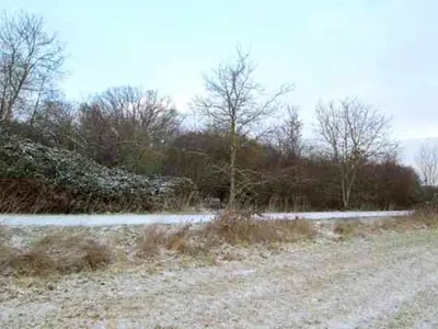 Unbebautes Grundstück in Weißenfels OT Wengelsdorf