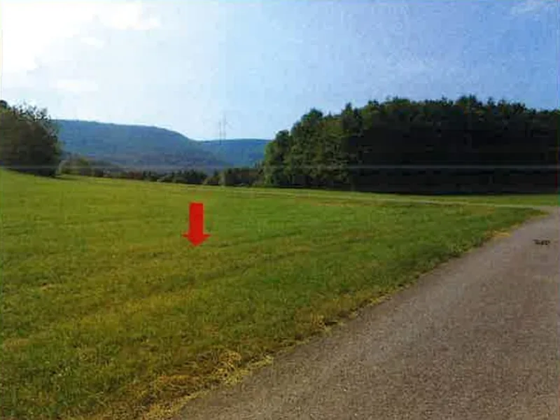 Land-/Forstwirtschaftsflächen in Schwäbisch Gmünd, Weiler i.d. Bergen — Bild 2