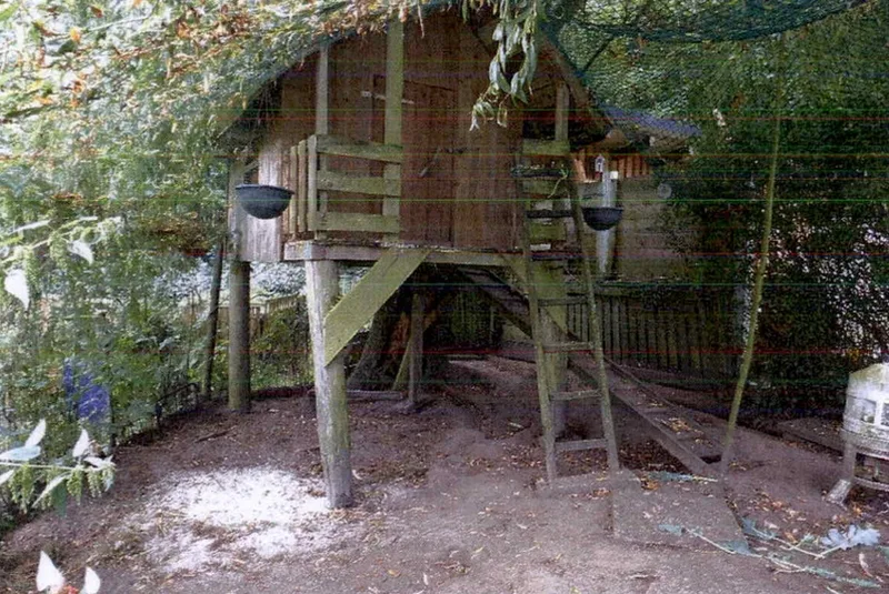 Einfamilienhaus mit Nebengebäuden in Oelixdorf — Bild 3