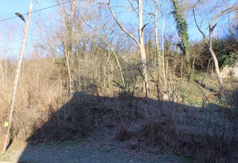 Unland (Böschung mit Gehölzen) in Leinfelden — Bild 2