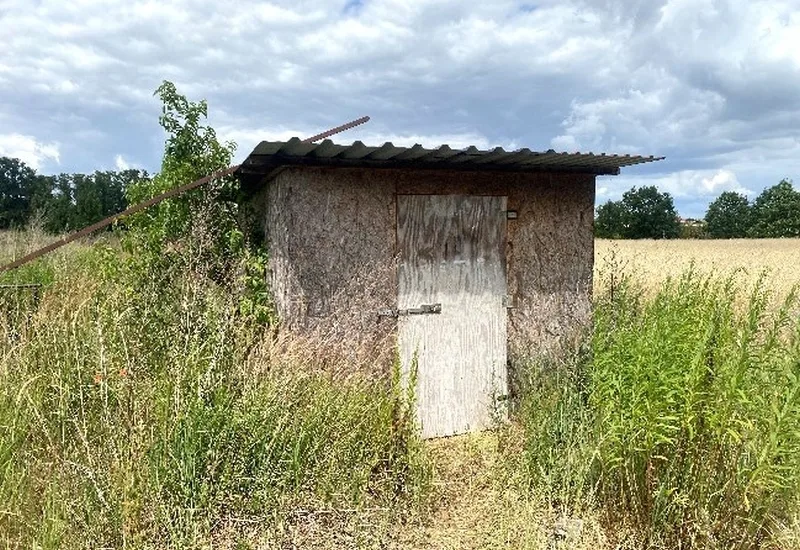 Grünland/Landwirtschaftsfläche in Werder OT Glindow