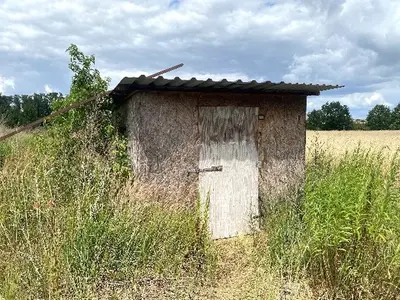 Grünland/Landwirtschaftsfläche in Werder OT Glindow