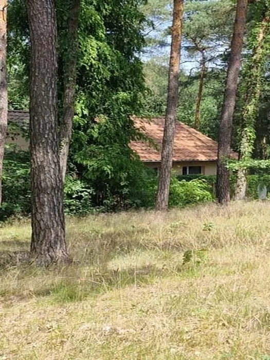 Ufernahes Grundstück in Nuthe — Bild 2