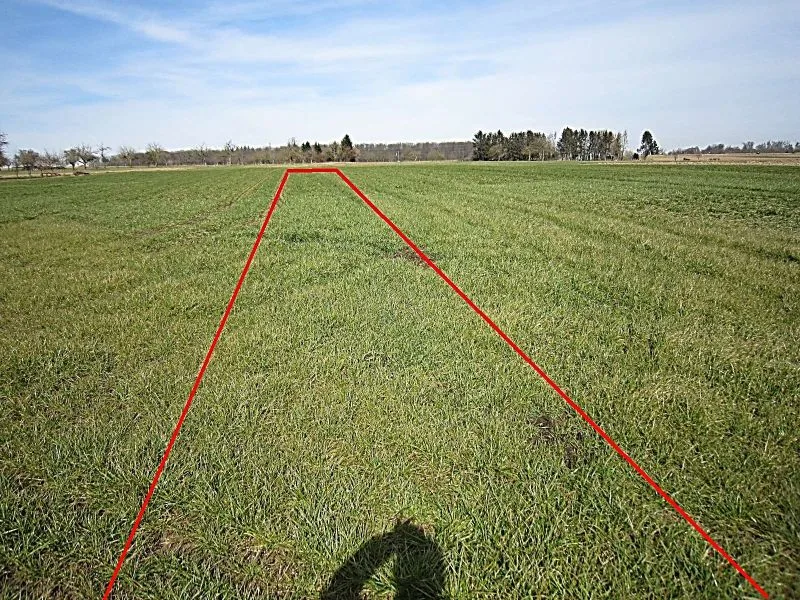 Landwirtschaftsfläche in Wolfschlugen