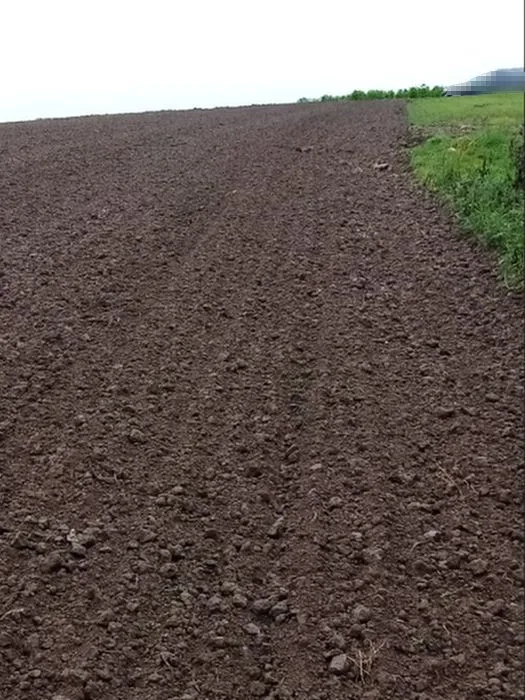 Landwirtschaftsflächen in Bretzfeld — Bild 2