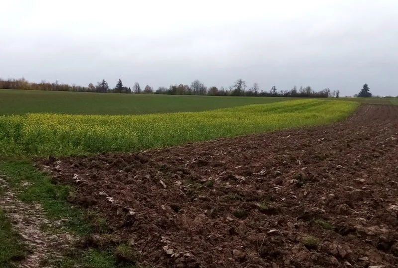 Landwirtschaftsflächen in Bretzfeld — Bild 3