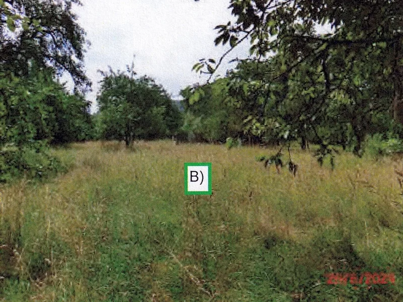 Landwirtschaftsflächen in Kernen — Bild 2