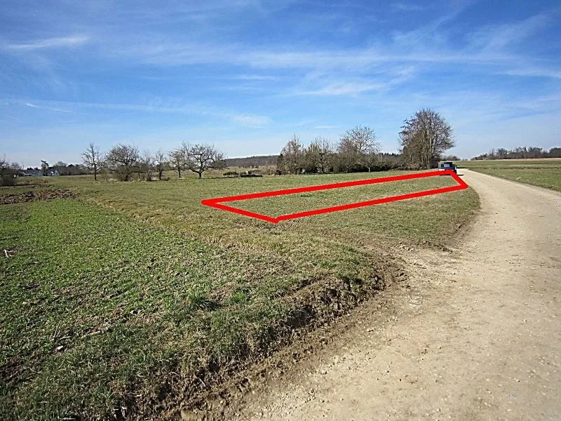 Landwirtschaftsfläche in Wolfschlugen — Bild 2