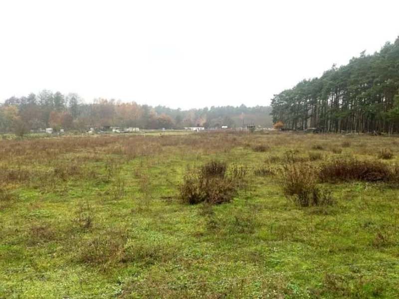Landwirtschafts-/Waldfläche (genutzt durch Reitereibetrieb) in Beelitz OT Schlunkendorf — Bild 2