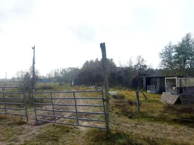 Landwirtschafts-/Waldfläche (genutzt durch Reitereibetrieb) in Beelitz OT Schlunkendorf