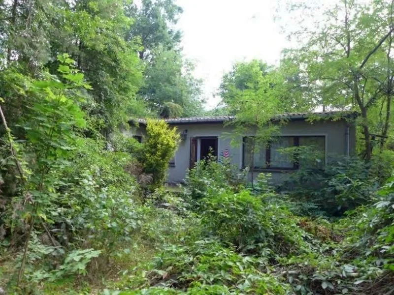 Grundstück mit Wochenendhaus in Stahnsdorf OT Güterfelde — Bild 2