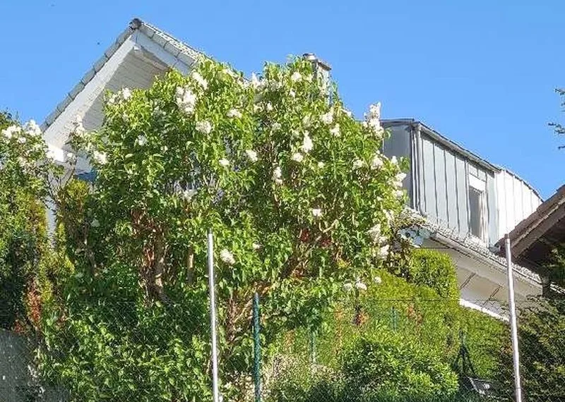 Einfamilienwohnhaus mit 2 Garagen in Sinsheim — Bild 2