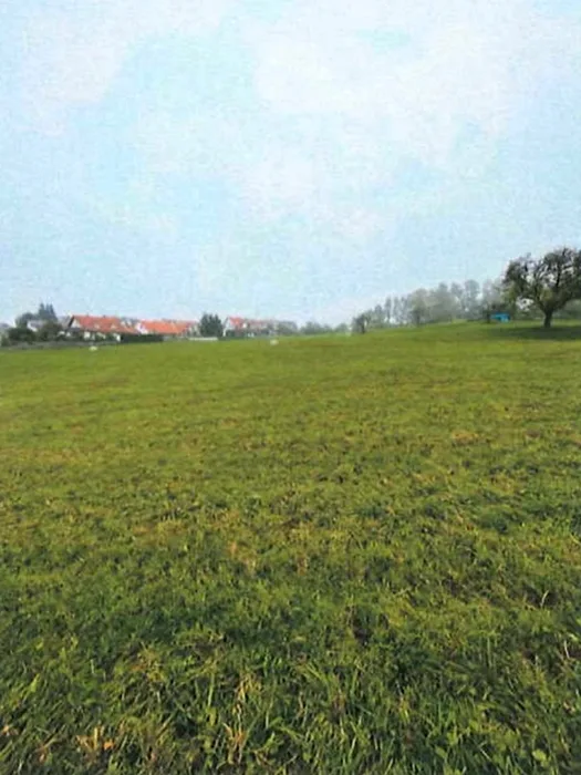 Wiesenfläche in Althütte — Bild 2