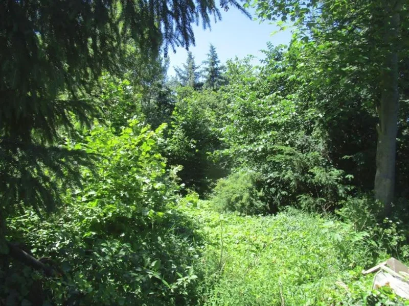 Doppelhaushälfte in Möckern OT Schweinitz — Bild 2