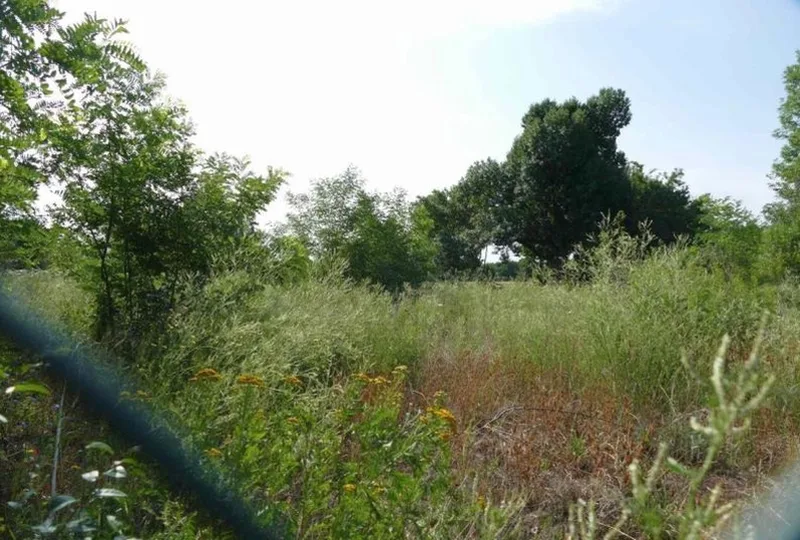 Grundstück in Gommern — Bild 3