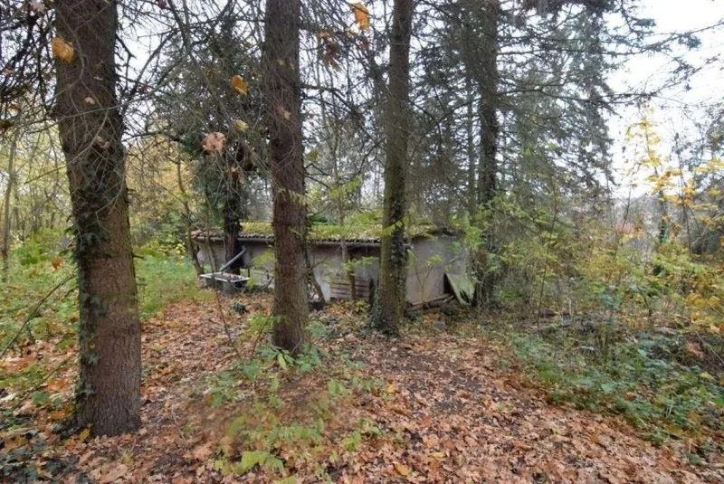 Überwiegend unbebautes Grundstück in Burg — Bild 2