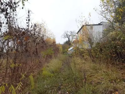 Überwiegend unbebautes Grundstück in Burg