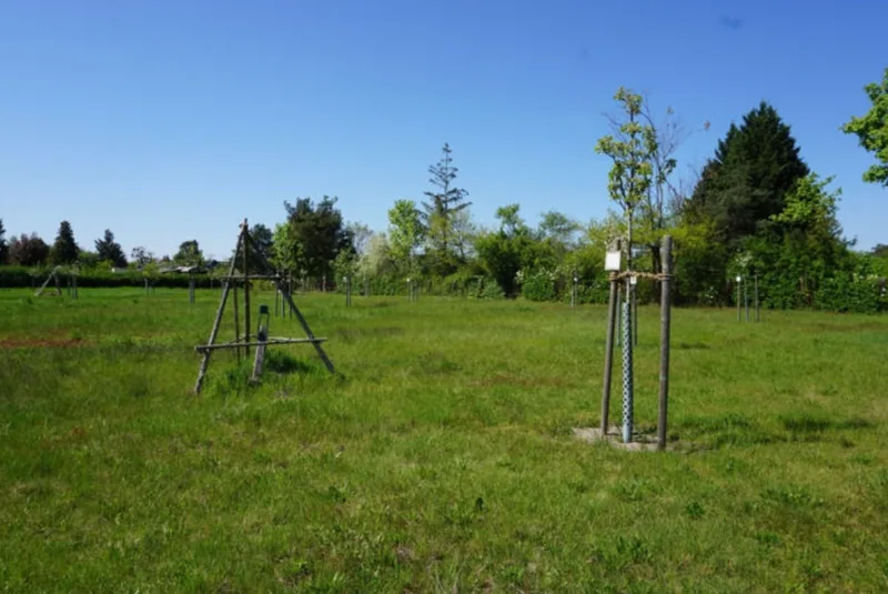 Verpachtetes, unbebautes Grundstück in Wahlitz — Bild 2