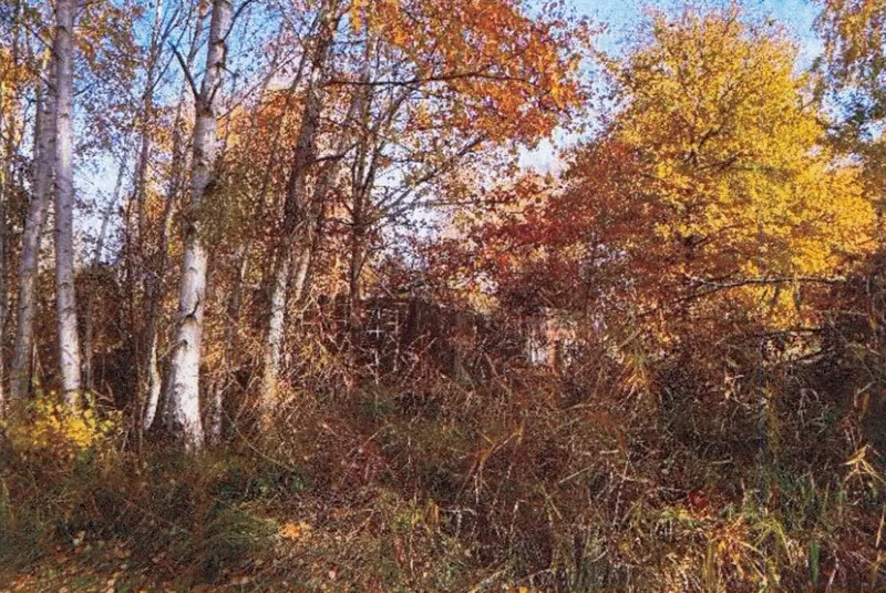Zwei Grundstücke (Gewässer-/Gehölz- und Grünlandflächen) in Schermen