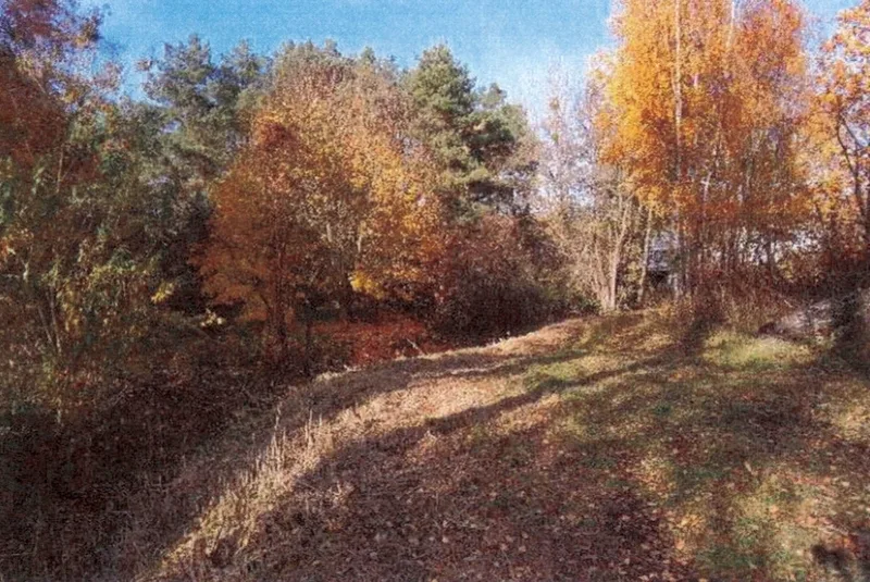 Zwei Grundstücke (Gewässer-/Gehölz- und Grünlandflächen) in Schermen — Bild 3