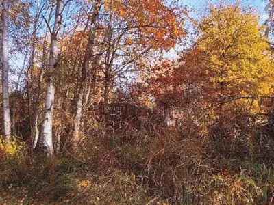 Zwei Grundstücke (Gewässer-/Gehölz- und Grünlandflächen) in Schermen