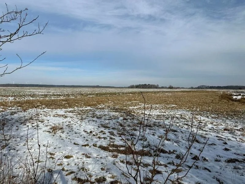 Wohnhaus und Landwirtschaftsfläche in Jerichow OT Kleinwulkow — Bild 3