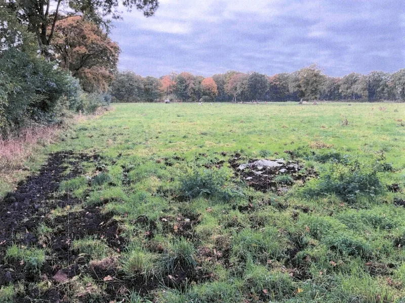 Landwirtschaftliche Nutzfläche (Dauergrünland) in Schafstedt — Bild 2