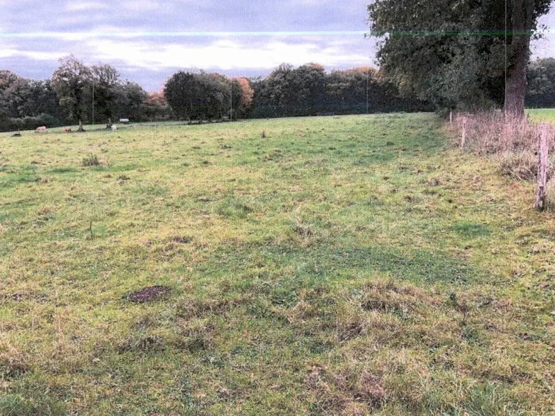 Landwirtschaftliche Nutzfläche (Dauergrünland) in Schafstedt — Bild 3