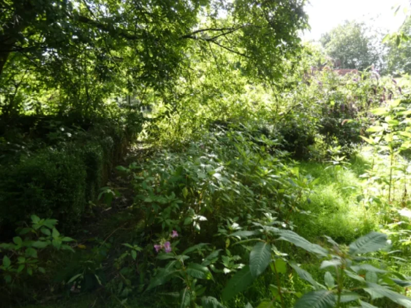 Grundstück mit Pferdestall in Sankt Michaelisdonn — Bild 3