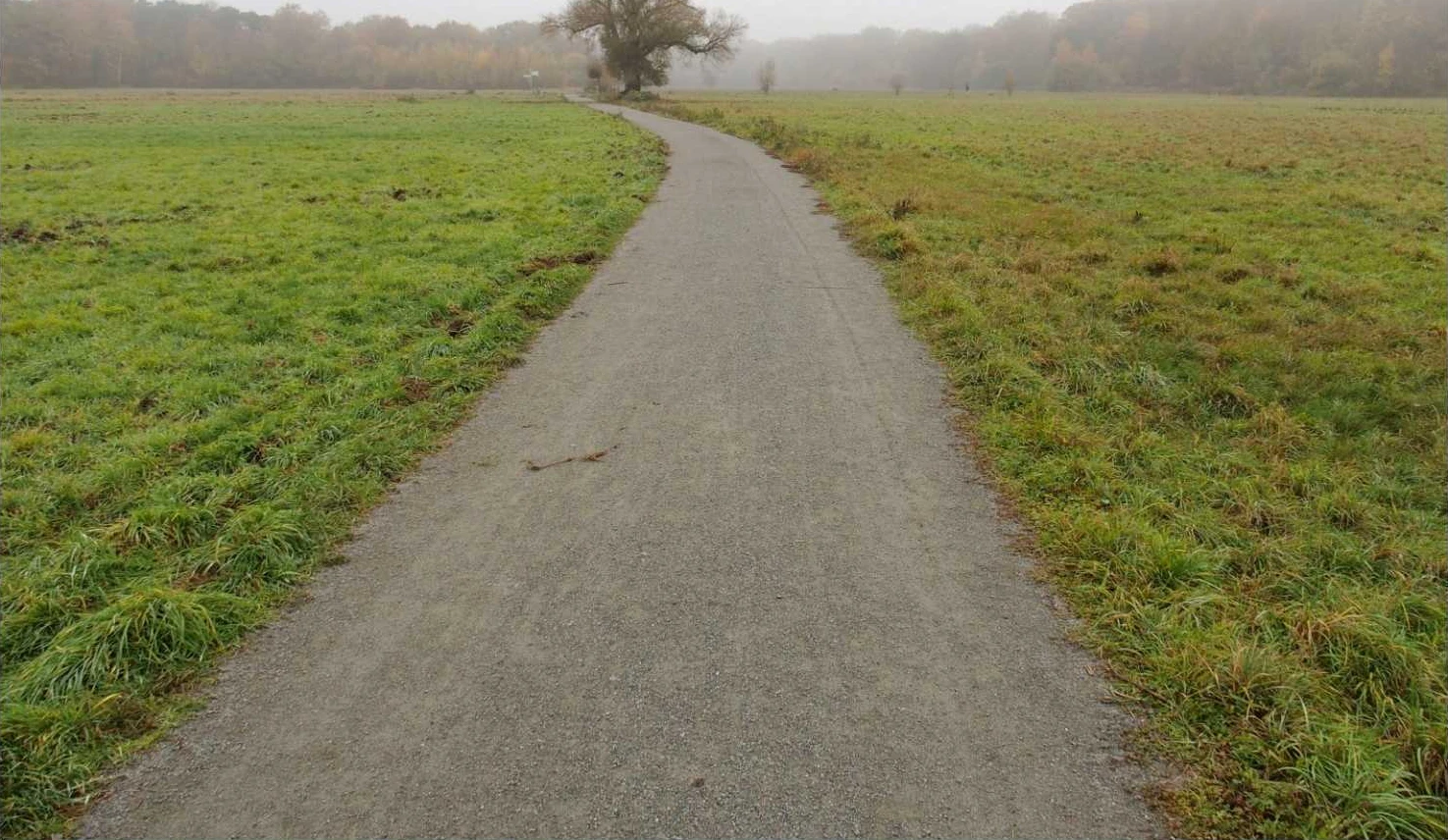 Ackerländer und Grünfläche (Wiese) in Frankfurt am Main — Bild 3