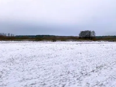 Grünland im Naturschutzgebiet in Wandlitz, Klosterfelde