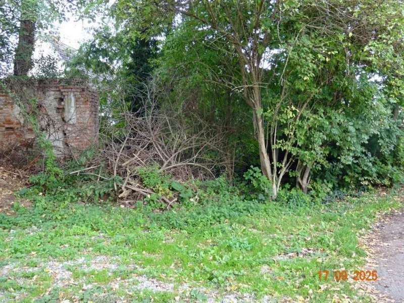 Unbebautes Grundstück (Baulücke) in Calbe (Saale) — Bild 2