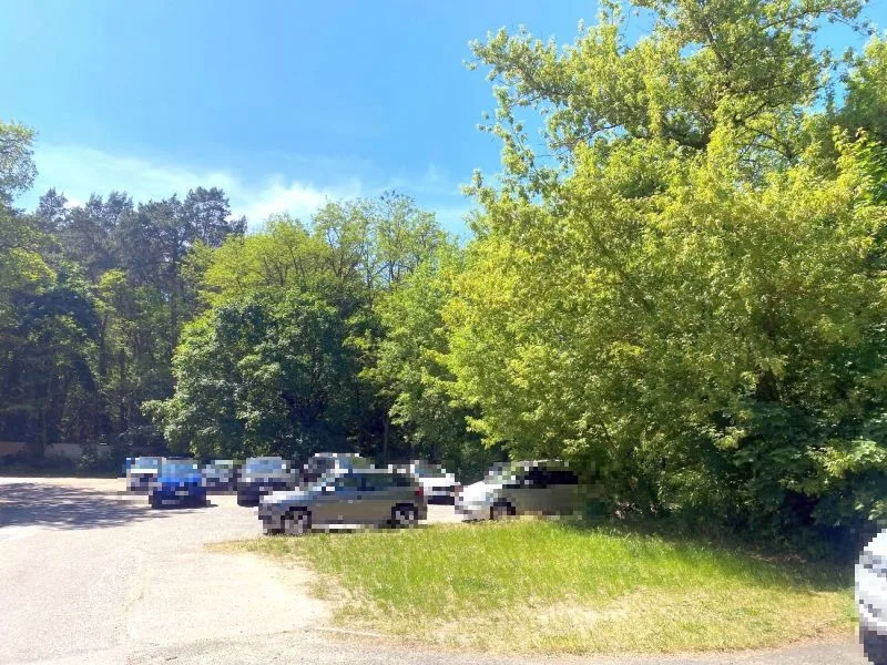 Unbebautes Grundstück/Waldfläche mit geringer Bestockung in Biesenthal — Bild 2