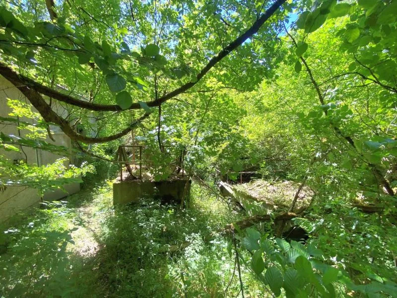 Unbebautes Grundstück/Waldfläche mit geringer Bestockung in Biesenthal — Bild 3