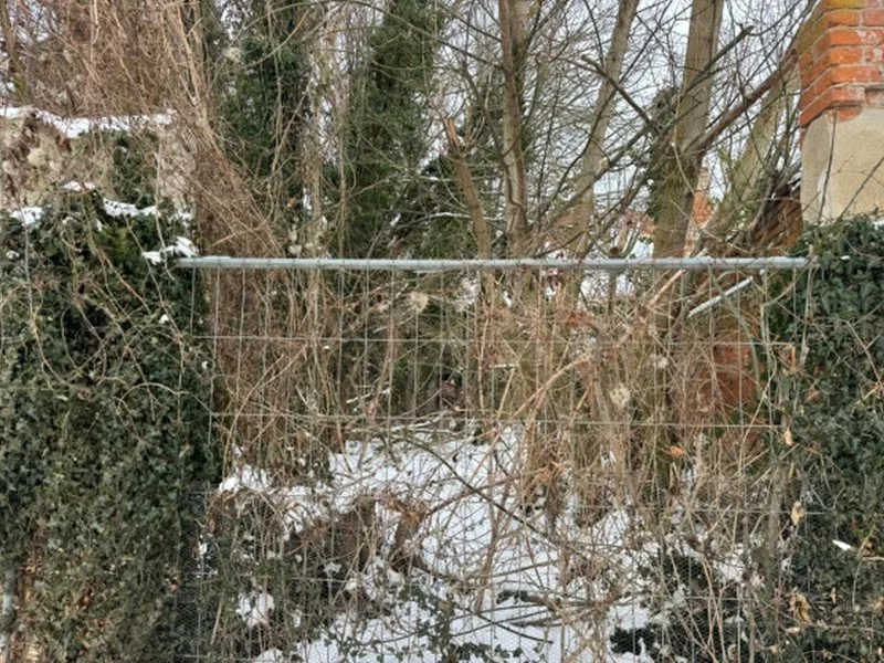 Stark sanierungsbedürftiges Wohn-/Geschäftshaus in Calbe (Saale) — Bild 2