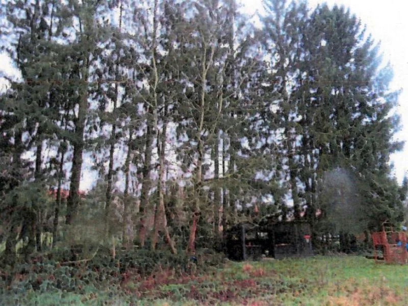 Freizeitgarten, Wald- und Landwirtschaftsfläche in Untergruppenbach (Unterheinriet) — Bild 2