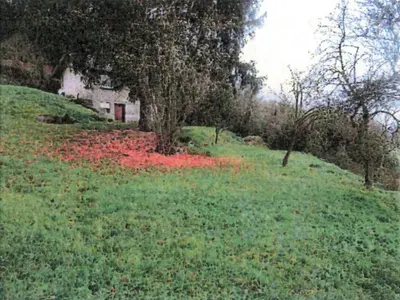 Freizeitgarten, Wald- und Landwirtschaftsfläche in Untergruppenbach (Unterheinriet)