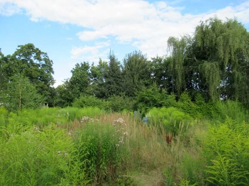 Grundstück mit abrissreifem Wochenendhaus und Nebengebäude in Panketal OT Schwanebeck — Bild 3