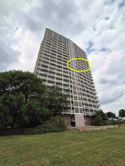 5-Zimmer-Wohnung in Ludwigshafen am Rhein — Bild 2