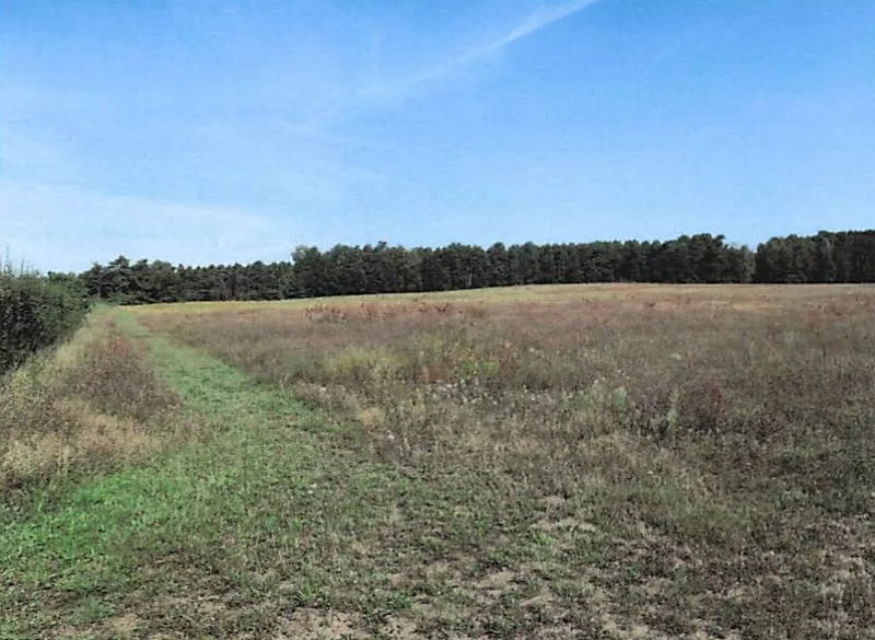 Landwirtschaftsfläche und Hundeübungsplatz in Eisenhüttenstadt OT Diehlo — Bild 2