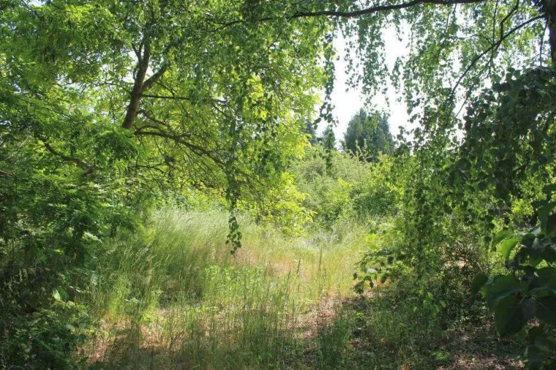 Mit Abrissgebäude bebautes Grundstück in Petershagen/Eggersdorf — Bild 3