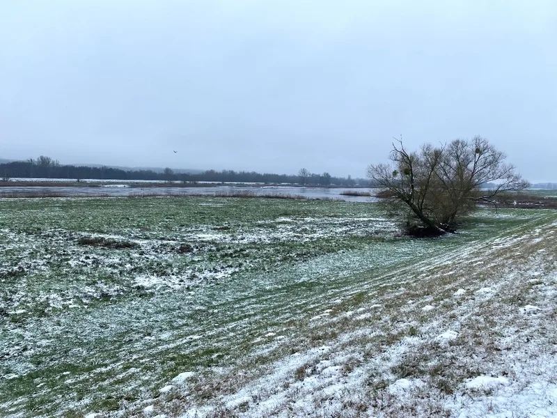 Einfamilienhaus und Land-/Forstwirtschaftsflächen in Bad Freienwalde OT Hohensaaten