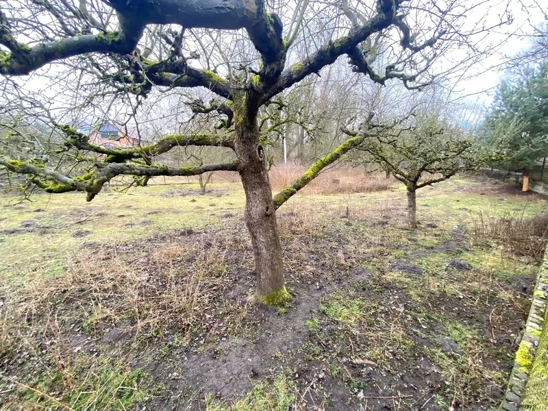 Einfamilienhaus und Land-/Forstwirtschaftsflächen in Bad Freienwalde OT Hohensaaten — Bild 2